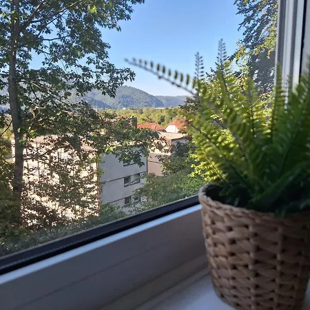 Apartmán Am Wald Waldkirch