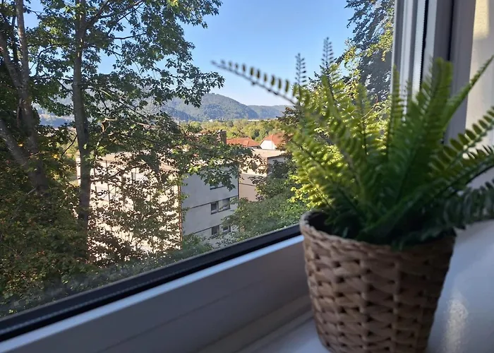 Appartement Am Wald Waldkirch